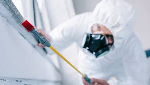 Best Residential Pest Control  in Big Coppitt Key, FL